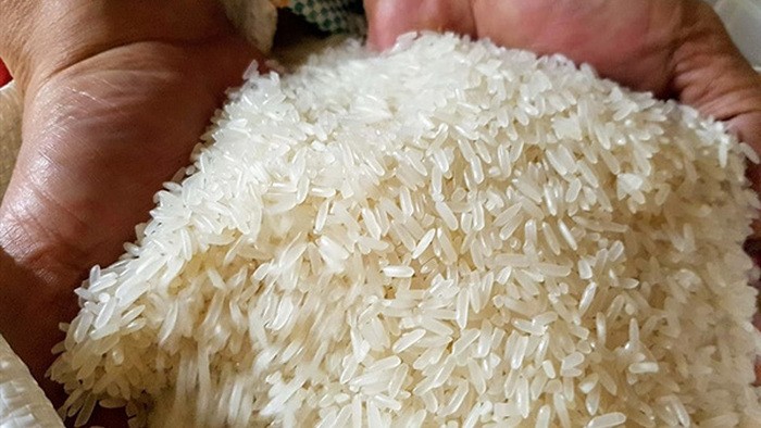 Dự báo Link Vào Nhà Cái KL99 COM Tặng +199k gạo của Philippines năm 2024 có thể đạt 4,5 triệu tấn