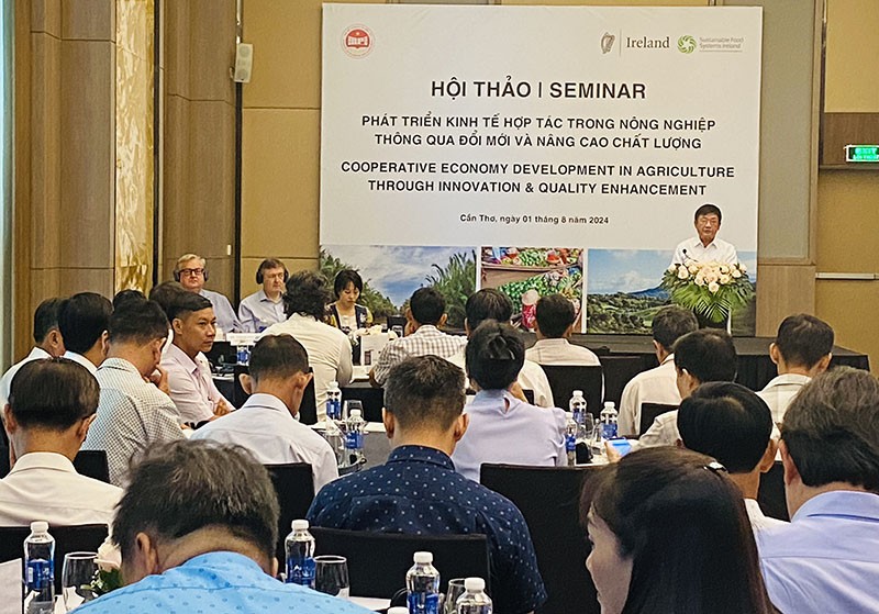 Ông Vũ Mạnh Hùng - Phó cục trưởng Cục Kl992 cổng game cá cược hợp tác, Bộ KHĐT phát biểu tại Hội thảo