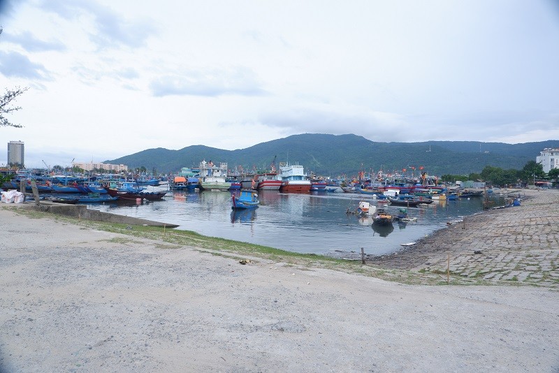 Đà Nẵng đang triển khai đồng thời Dự án Nạo vét âu thuyền Thọ Quang và Dự án Kl99ok phiên bản mới xây dựng nâng cấp, mở rộng cảng cá Thọ Quang (giai đoạn 2). 