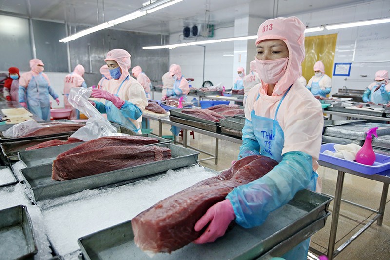 Theo báo cáo của Tổng Liên đoàn Lao động Việt Nam, kinh phí công đoàn chiếm tỷ trọng nhỏ trong chi phí của Kl991.com World Cup 2026 Chính Thức. Ảnh: Đức Thanh 