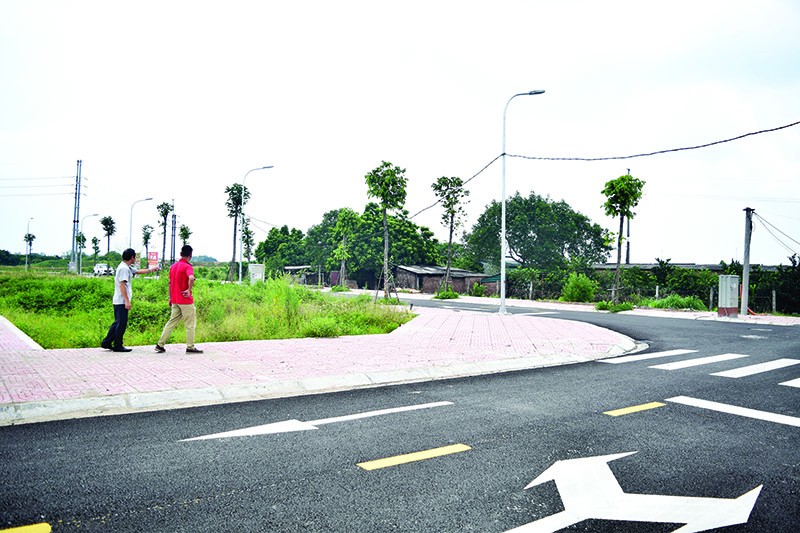 Thị trường đất đấu giá vùng ven Hà Nội vẫn có sức hấp dẫn lớn với các nhà Kl99ok phiên bản mới. Ảnh: T.V