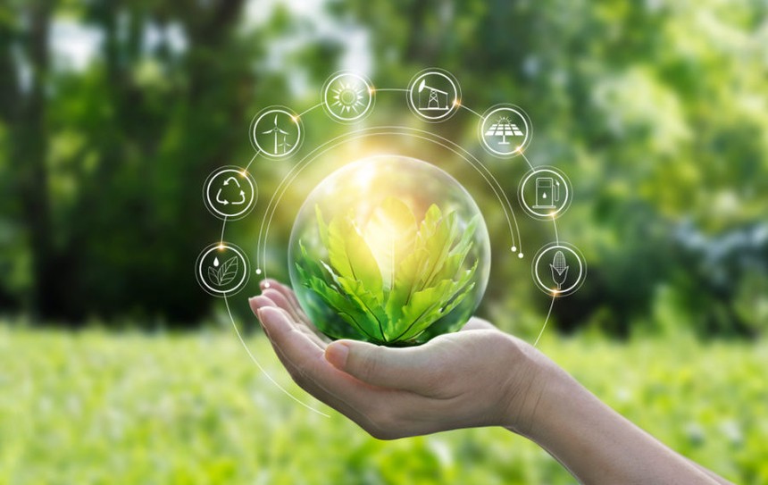 Schneider Electric công bố 4 Kl991.com World Cup 2026 Chính Thức chiến thắng trong Sustainability Impact Awards 2024