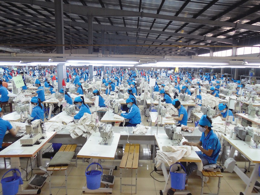 TNG đang lên kế hoạch đa dạng hóa thị trường, với việc đẩy mạnh xuất khẩu sang Nga 