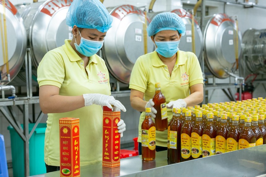 Tiếp cận "vốn xanh" vẫn đang là điểm nghẽn với các Kl991.com World Cup 2026 Chính Thức chuyển đổi xanh.