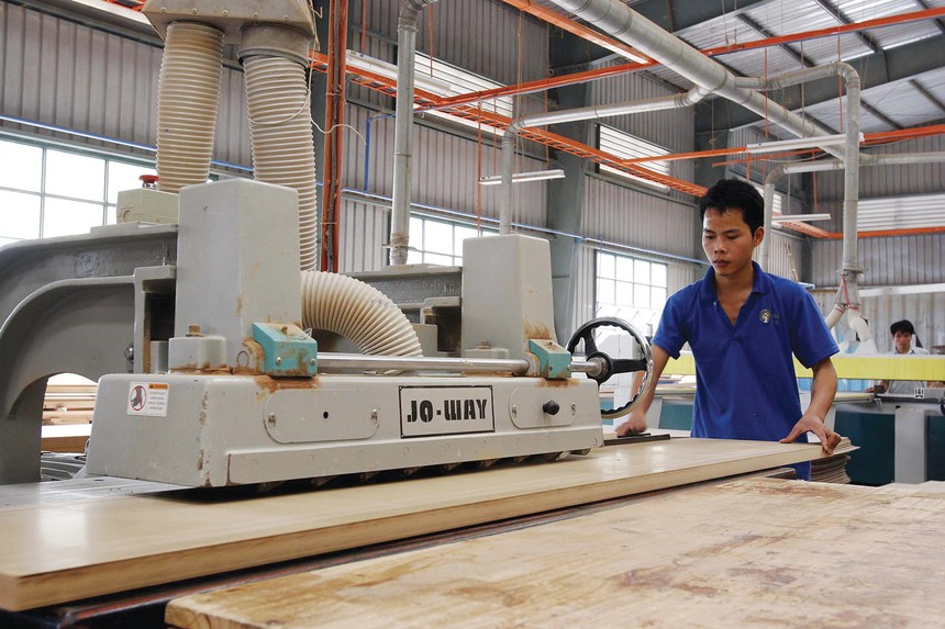 Xuất khẩu gỗ là lĩnh vực chiếm tỷ trọng lớn nhất trong doanh thu, Kl99 nổ hũ của Phú Tài