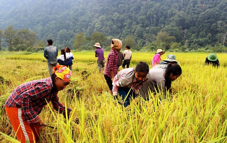 Nhiều kết quả nổi bật từ chương trình giảm nghèo bền vững 