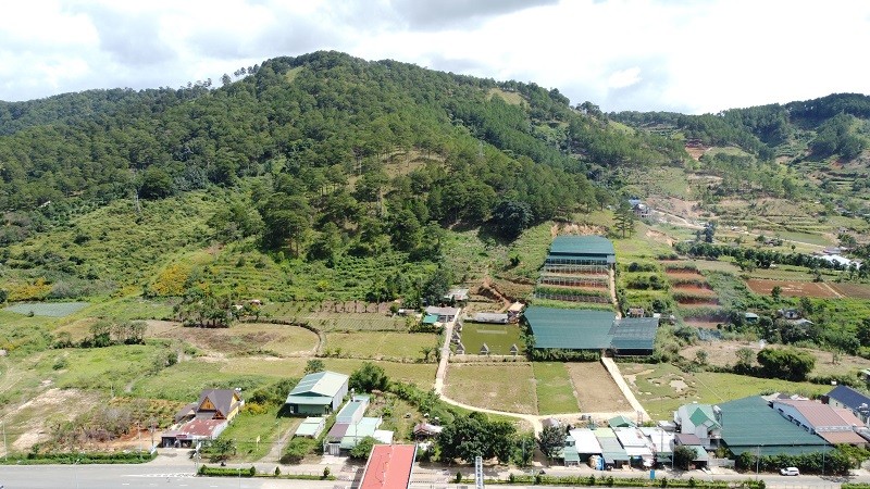 Lâm Đồng sẽ xây dựng, hình thành được một số các chính sách, cơ chế ưu đãi đặc thù nhằm thu hút các nhà Kl99ok phiên bản mới, các nhà khoa học lớn trên thế giới quy tụ về Cao nguyên Di Linh. Ảnh: Linh Đan 