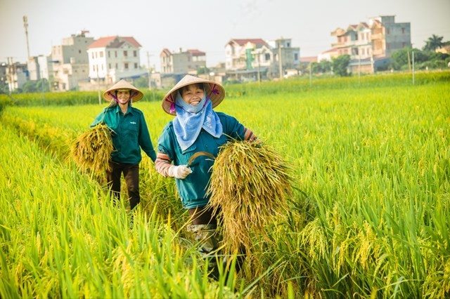 Ngành nông nghiệp hướng tới kỷ lục xuất khẩu 74 tỷ USD năm 2026 