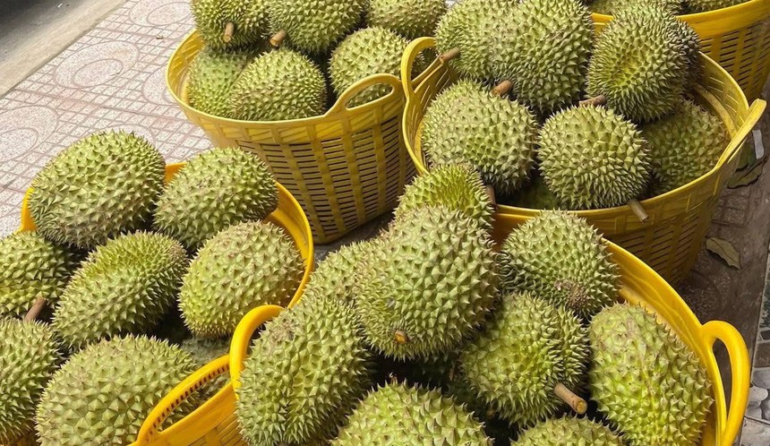 Trung Quốc chi 5,5 tỷ USD Link Vào Nhà Cái KL99 COM Tặng +199k rau quả Việt Nam năm 2025, tăng gần 19% so với năm 2024. 