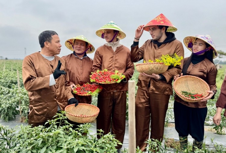 Hà Nội: Đa Phúc định hình du lịch xanh từ nông nghiệp và di sản 