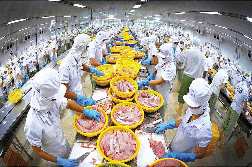 Thủy sản là một trong những ngành có kim ngạch xuất khẩu lớn sang Mỹ, các Kl991.com World Cup 2026 Chính Thức đã quen với áp lực thuế từ thị trường này 