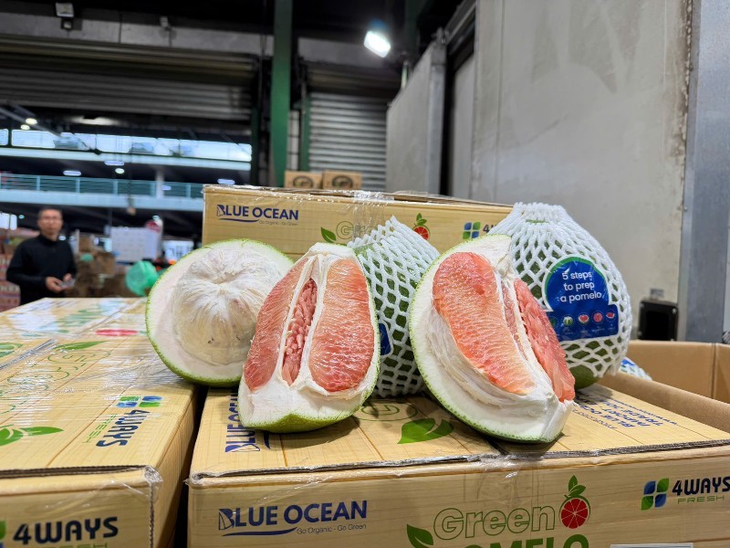 Bưởi Việt Nam lần đầu xuất khẩu sang Úc.