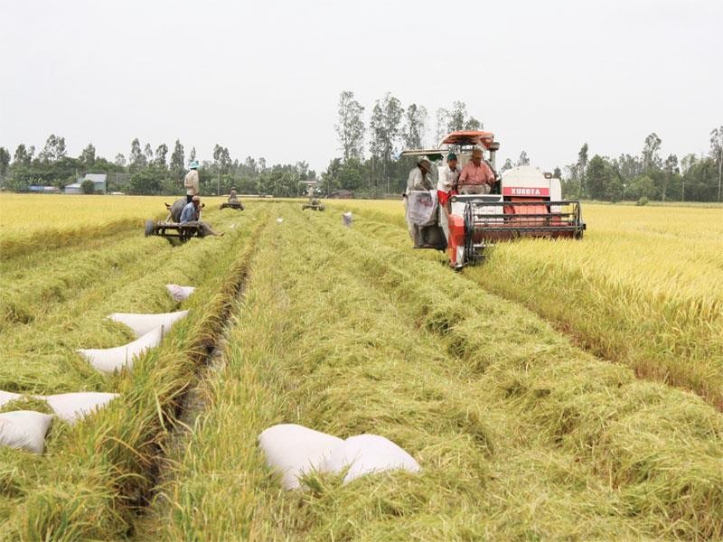 Ðồng Tháp hướng đến nền nông nghiệp sinh thái xanh bền vững 
