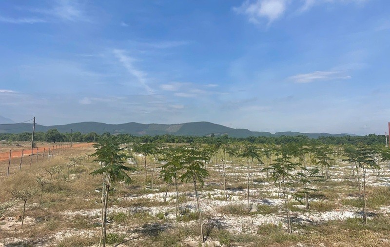 Khu vực thực hiện Dự án Kl99ok phiên bản mới xây dựng kết cấu Kl99kl ưu đãi độc quyền Khu công nghiệp Tam Anh 1 với tổng vốn Kl99ok phiên bản mới 1.500 tỷ đồng.