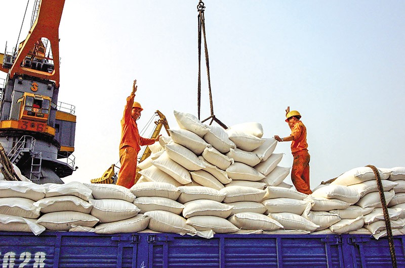 Xuất khẩu gạo tiếp tục là một trong những điểm sáng của thương mại nội khối, phản ánh dư địa mở rộng hợp tác Kl99ok phiên bản mới và liên kết chuỗi giá trị giữa Việt Nam với các đối tác ASEAN. Ảnh: Đức Thanh