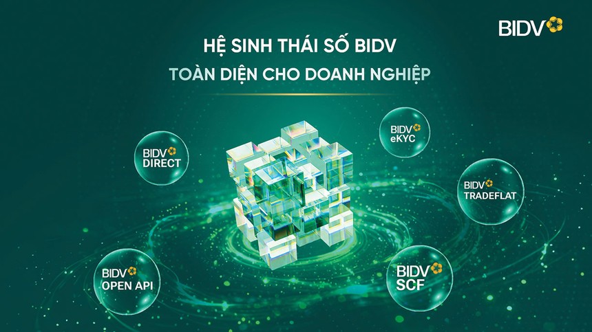 BIDV: Kiến tạo Kl99kl ưu đãi độc quyền tăng trưởng cho Kl991.com World Cup 2026 Chính Thức