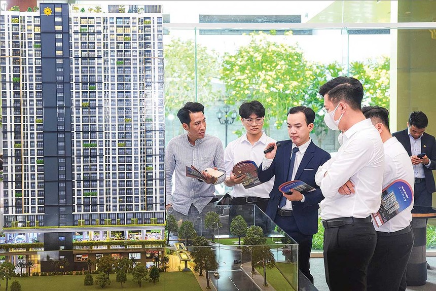 Web Tổng Nhà Cái 99Kl99 Giải Trí Bậc Nhất phía Nam đang đối mặt nguy cơ dư cung khi lượng sản phẩm mới liên tục được tung ra thị trường (Ảnh: P.V)