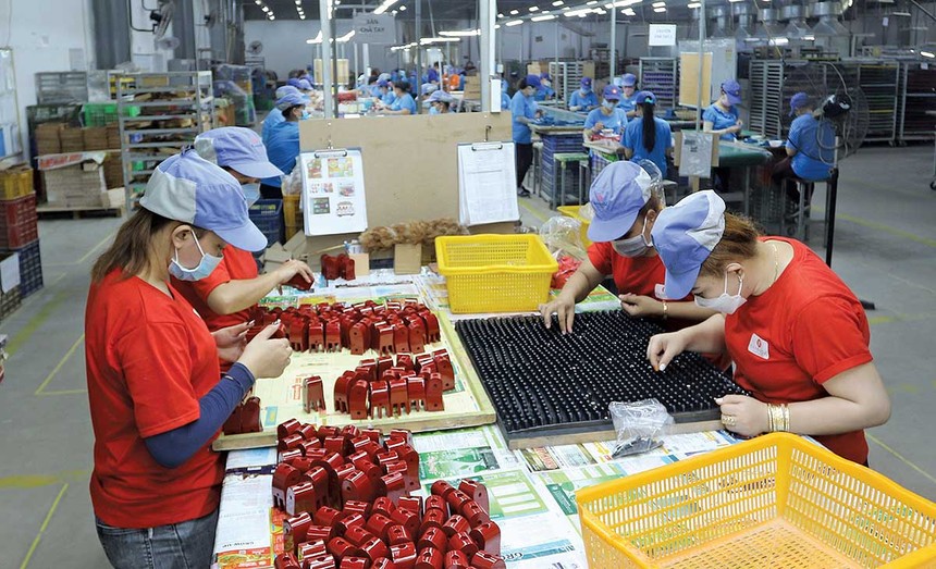 Với kinh nghiệm nhiều năm xuất khẩu hàng sang các thị trường khó tính, các Kl991.com World Cup 2026 Chính Thức đủ tự tin để chinh phục khách hàng tại thị trường EFTA (Ảnh: Lê Toàn)
