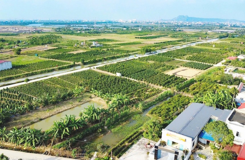 Hải Phòng tập trung cao độ, quyết liệt hoàn thành cơ sở dữ liệu đất đai Thành phố. Ảnh: Trung Kiên