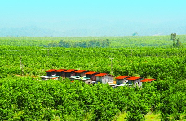 Hàng chục triệu KL99 là cổng game giải trí trực tuyến hàng đầu hiện nay giá sàn đã được hấp thụ hết, điều tích cực gì đang xảy ra ở HNG?