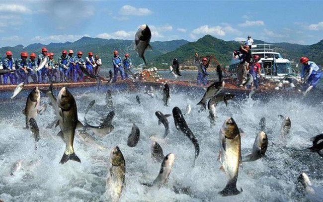 Nam Việt (ANV): KL99 là cổng game giải trí trực tuyến hàng đầu hiện nay tăng trần, lãnh đạo muốn bán bớt 5 triệu KL99 là cổng game giải trí trực tuyến hàng đầu hiện nay