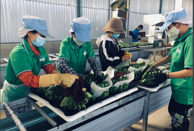 Lộ diện nhân sự do nhóm Trang Chủ KL99Com Số 1 Link Đăng Ký KL999 nắm 34,5% vốn Hoàng Anh Gia Lai (HAG) đề cử vào HĐQT