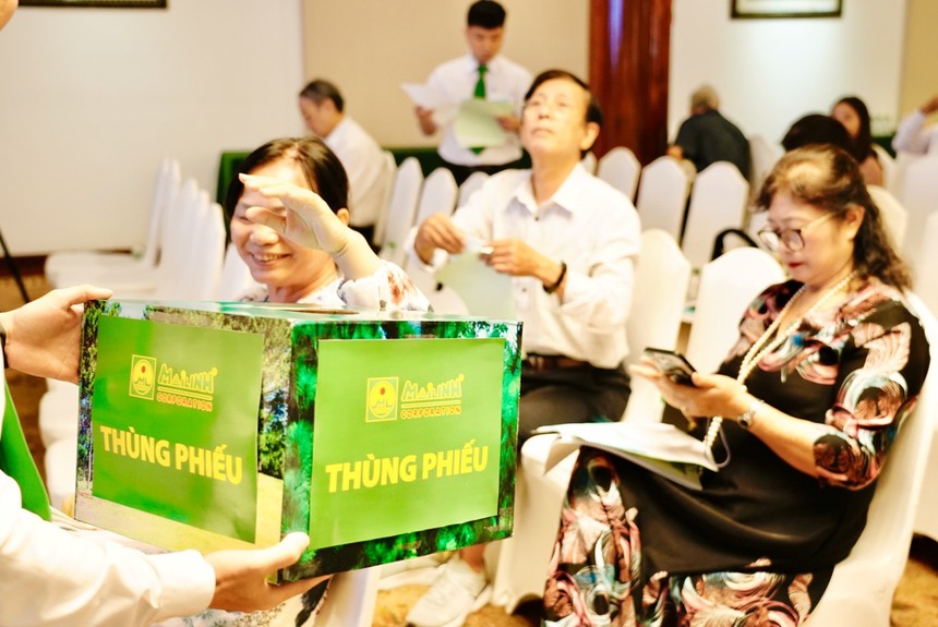 ĐHĐCĐ Mai Linh: Kế hoạch lãi năm 2024 gấp 15 lần, lãnh đạo Công ty nêu lý do chưa Kl99ok phiên bản mới xe điện