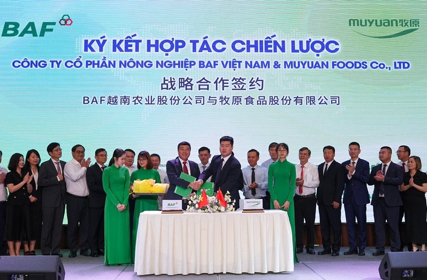 BAF ký kết hợp tác chiến lược với Kl994 game bài casino hấp dẫn Chăn nuôi – Thực phẩm hàng đầu thế giới Muyuan 