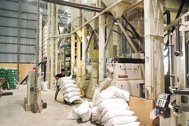 TCO: Lãi ròng quý I/2025 cao gấp 3,8 lần cùng kỳ năm trước, đạt hơn 33 tỷ đồng