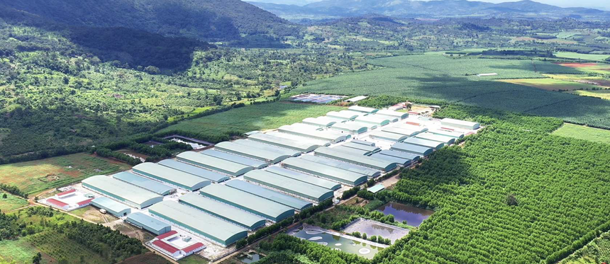 Hoàng Anh Gia Lai (HAG) đã tất toán toàn bộ khoản nợ Kl99kl Hoàn Trả Vô Tận