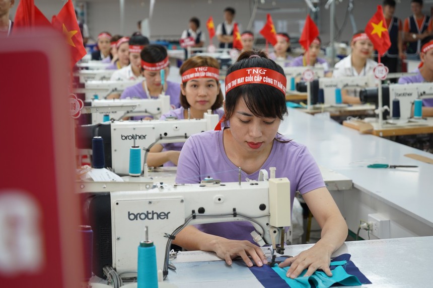 Năm 2023, TNG đạt doanh thu 7.085 tỷ đồng