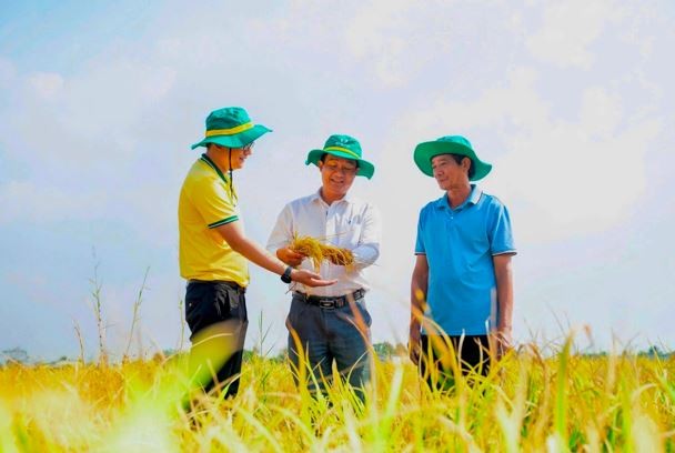 PVCFC góp phần nâng cao hiệu quả canh tác, giảm chi phí đầu vào giúp bà con tiếp cận các giải pháp nông nghiệp phù hợp hơn. 
