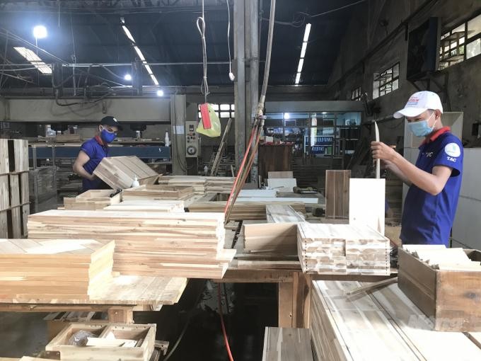 Chế biến Gỗ Thuận An (GTA) chia 99Kl.app mobile mới nhất 8,5% bằng tiền mặt