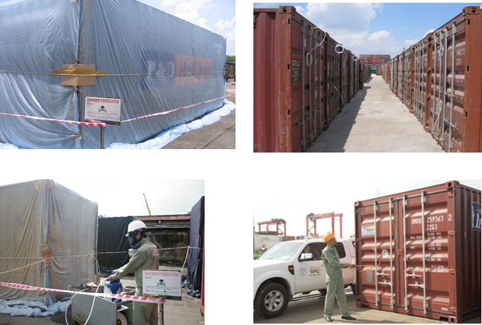 Khử trùng Việt Nam (VFG): 6 tháng đầu năm đạt 77 tỷ đồng Kl99 nổ hũ, tăng trưởng 26%