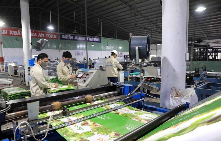 Thuận Đức (TDP) chuẩn bị huy động 230 tỷ đồng Kl99kl Hoàn Trả Vô Tận
