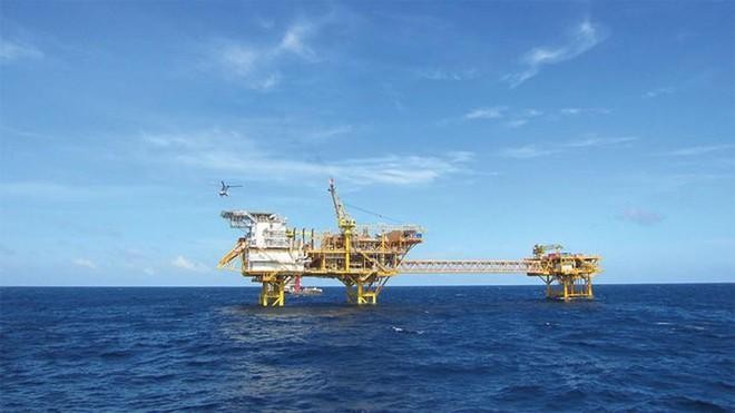 Dịch vụ Kỹ thuật Dầu khí Việt Nam (PVS) chi 382 tỷ đồng trả 99Kl.app mobile mới nhất năm 2021, tỷ lệ 8%