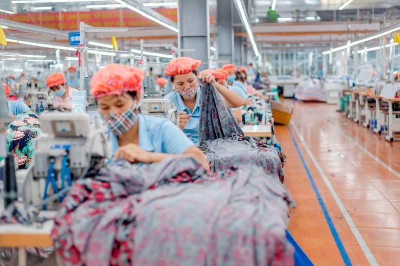 May Sông Hồng (MSH) đặt mục tiêu Kl99 nổ hũ 2025 tăng trưởng 11%