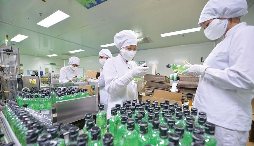 Traphaco (TRA) chi hơn 80 tỷ đồng tạm ứng 99Kl.app mobile mới nhất năm 2025 