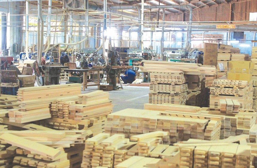 Gỗ và dược phẩm có khả năng sẽ bị Mỹ áp thuế trong thời gian tới