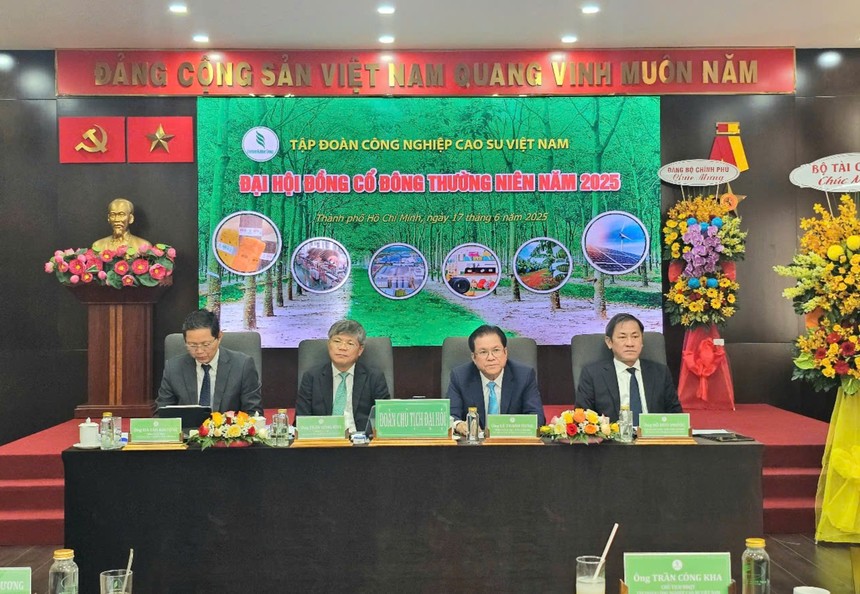 ĐHĐCĐ Kl994 game bài casino hấp dẫn Cao su (GVR): 6 tháng ước lãi trước thuế 2.500 tỷ đồng, muốn mở rộng thêm 70.000 ha cao su sang Lào và Campuchia 