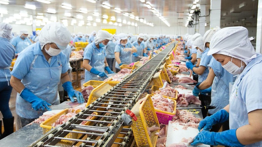 Nam Việt (ANV): Phó tổng giám đốc tiếp tục muốn tăng sở hữu