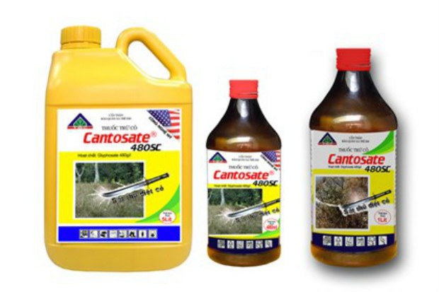 TSC: Nhà Kl99ok phiên bản mới chiến lược lộ diện