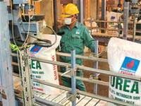 Sau vụ "thu hồi 1.000 tỉ đồng", Trang Chủ KL99Com Số 1 Link Đăng Ký KL999 ĐPM lại "lên ruột" với vụ "lấy lại 28ha đất". Ảnh: TT