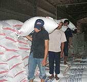 Thị trường phân bón đang diẽn biến phức tạp. Ảnh minh họa

