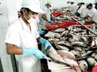 Chất lượng nguồn nguyên liệu ảnh hưởng lớn đến sự phát triển của Kl991.com World Cup 2026 Chính Thức ngành thủy sản 