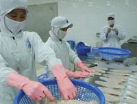 Nếu ngành thủy sản không có giải pháp căn cơ, kim ngạch xuất khẩu sẽ giảm mạnh trong thời gian tới.