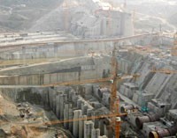 SD7 chưa có kế hoạch tăng vốn