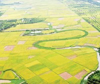 Kl99kl phiên bản hoạt động nông nghiệp không phải là nghiệp vụ Kl992 VIP Trang Chủ 2026 đơn thuần mà nó mang tính Trang Chủ KL99Com Số 1 Link Đăng Ký KL999 rất cao.