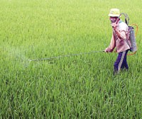 Triển khai Kl99kl phiên bản hoạt động nông nghiệp, DN có hào hứng