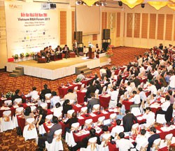 Bước tiến mới của M&A 2011